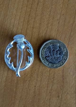 Zu sehen ist eine kleine silberfarbene Anstecknadel in Form einer Distel neben einem OnePound Stück. Die Anstecknadel ist nur ein wenig größer als die Münze